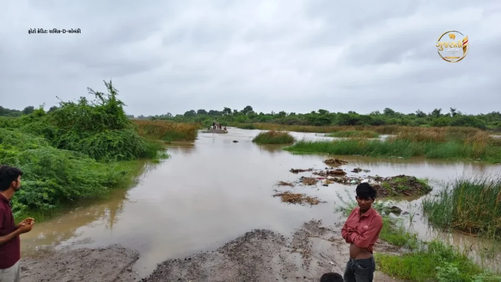 લોલિયાણા