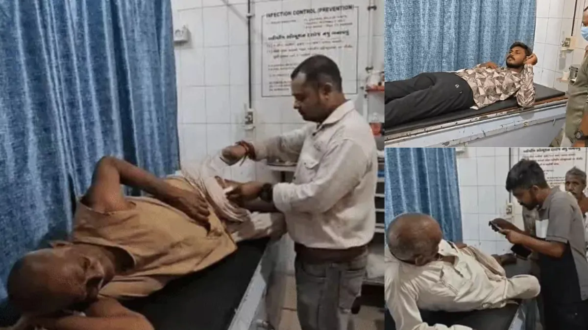 Lion Attack In Nandarkh Una