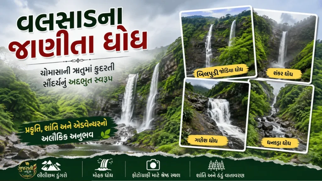 Valsad Tourist Places: વલસાડના જાણીતા ધોધ, ચોમાસામાં કુદરતી સૌંદર્યનું અદભુત રૂપ