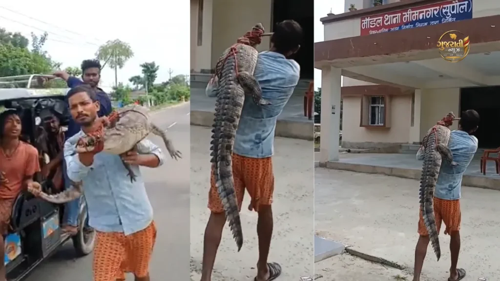 Bihar Crocodile Video