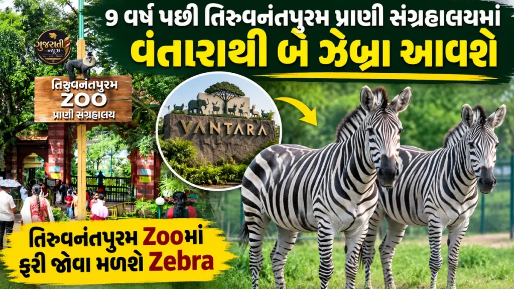 Thiruvananthapuram Zoo માં 9 વર્ષ બાદ Zebra ની વાપસી, Vantara થી આવશે બે Zebra