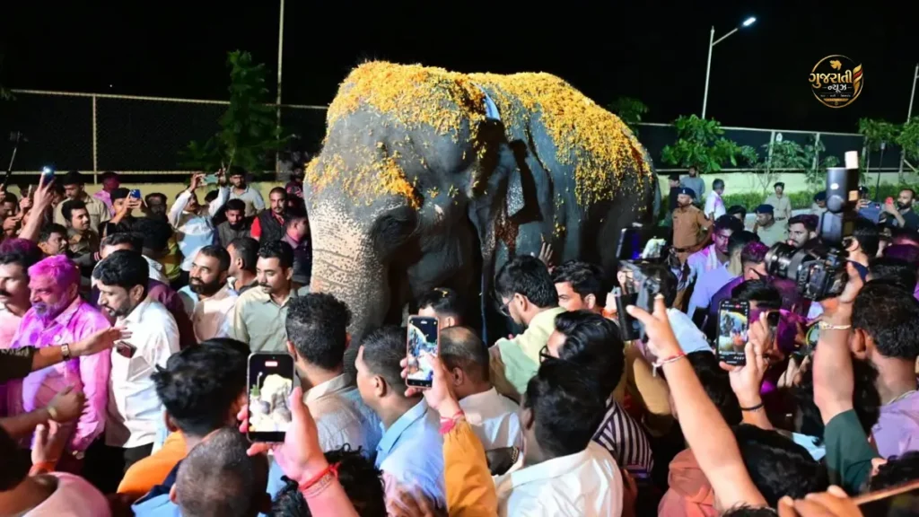 Madhuri Elephant: એક વર્ષથી વધુ સારવાર બાદ માધુરી હાથીની કોલ્હાપુર વાપસી