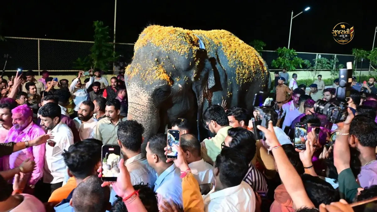 Madhuri Elephant